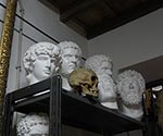 ingrandisci