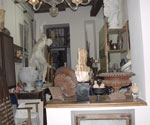 ingrandisci