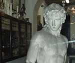 ingrandisci